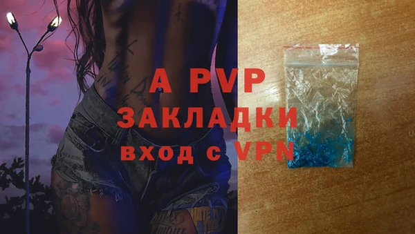 сатива Армянск