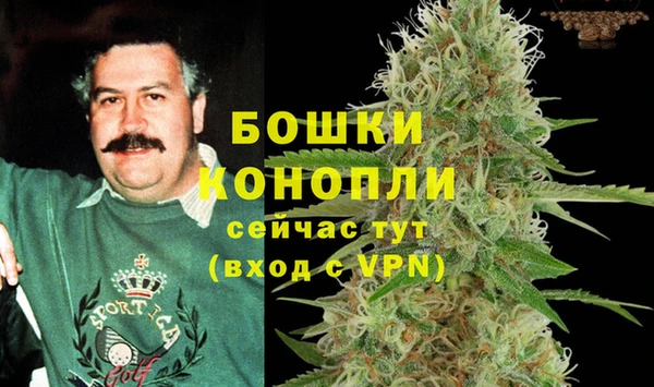 спиды Аркадак