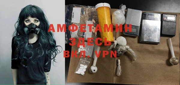 сатива Армянск